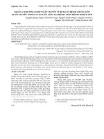 Nhân 4 trường hợp xuất huyết ổ bụng ở bệnh nhân sốt xuất huyết dengue người lớn tại Bệnh viện Bệnh Nhiệt Đới