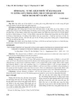 Hình dạng - vị trí - kích thước tế bào haller và xương giấy trong phẫu thuật nội soi mũi xoang nhằm tránh mổ vào hốc mắt