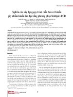 Nghiên cứu xây dựng quy trình chẩn đoán vi khuẩn gây nhiễm khuẩn âm đạo bằng phương pháp Multiplex PCR