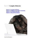 Ebook Brain and behavior (5E): Part 2