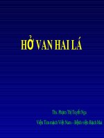 Bài giảng bộ môn Siêu âm tim: Hở van hai lá