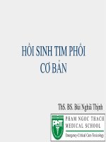 Bài giảng Hồi sinh tim phổi cơ bản - ThS. BS. Bùi Nghĩa Thịnh