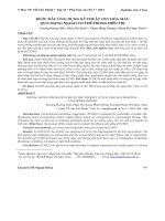 Bước đầu ứng dụng kỹ thuật oxy hóa máu qua màng ngoài cơ thể trong điều trị