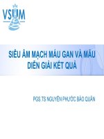 Bài giảng Siêu âm mạch máu và  mẫu diễn giải kết quả - PGS.TS Nguyễn Phước Bảo Quân