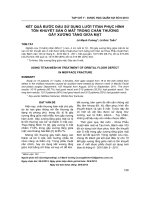 Kết quả bước đầu sử dụng lưới titan phục hình tổn khuyết sàn ổ mắt trong chấn thương gãy xương tầng giữa mặt