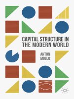 Capital structure in the modern world 