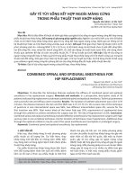 Gây tê tủy sống kết hợp ngoài màng cứng trong phẫu thuật thay khớp háng