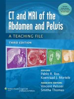 Ebook CT and MRI of the abdomen and pelvis - A teaching file (3rd edition): Part 1