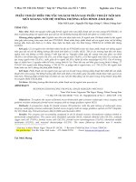 Phẫu thuật điều trị tắc ngách trán sau phẫu thuật nội soi mũi xoang với hệ thống hướng dẫn hình ảnh (IGS)