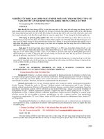 Nghiên cứu rối loạn lipid máu ở bệnh nhân đái tháo đường typ 2 có tăng huyết áp tại Bệnh viện Đa khoa Trung ương Cần Thơ