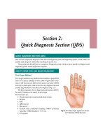 Ebook Master visual diagnosis of ECG - A short atlas: Part 2