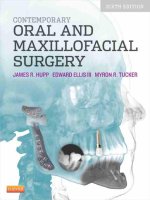 Ebook Contemporary oral and maxillofacial surgery: Part 1