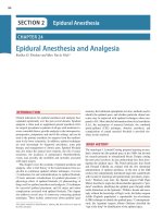 Ebook Hadzic’s textbook of regional anesthesia and acute pain management (2/E): Part 2