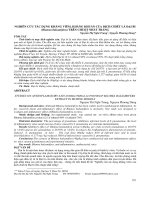 Nghiên cứu tác dụng kháng viêm, kháng khuẩn của dịch chiết lá đại bi (blumea balsamifera) trên chuột nhắt trắng