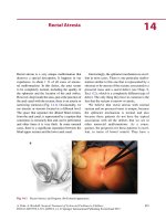 Ebook Surgical treatment of colorectal problems in children: Part 2
