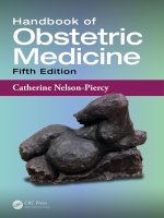 Ebook Handbook of obstetric medicine (5/E): Part 1
