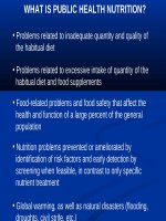 Bài giảng Dinh dưỡng cho các lớp Sau đại học 2014 - Bài 3: Y tế công cộng