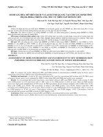 Đánh giá hóa mô miễn dịch và lai huỳnh quang tại chỗ xác định tình trạng her 2 trong ung thư vú trên sắp xếp dãy mô