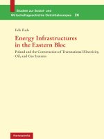 Energy infrastructures in the eastern bloc poland and the construction of transnational electricity, oil, and gas systems 