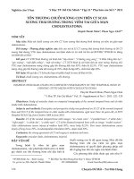 Tổn thương chuỗi xương con trên CT scan xương thái dương trong viêm tai giữa mạn cholesteatoma