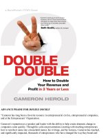 Double double how to double your revenue and profit in 3 years or less 