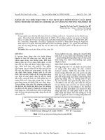 Khảo sát các điều kiện tối ưu xây dựng quy trình tách và xác định đồng thời một số kháng sinh họ b - lactam bằng phương pháp điện di