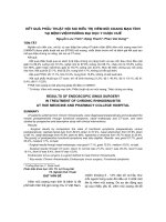 kết quả phẫu thuật nội soi điều trị viêm mũi xoang mạn tính tại Bệnh viện Trường Đại học Y Dược Huế