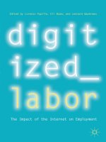 Digitized labor the impact of the internet on employment 