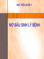 Bài giảng bộ môn Sinh lý bệnh: Mở đầu sinh lý bệnh