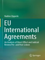 EU international agreements an analysis of direct effect and judicial review pre  and post lisbon 