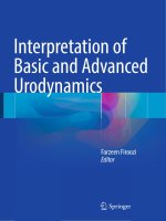 Ebook Interpretation of basic and advanced urodynamics: Part 1