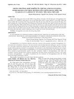 Nhân trường hợp nhiễm ấu trùng strongyloides stercoralis cập nhật hướng dẫn chẩn đoán, điều trị và quản lý ca bệnh từ Tổ chức Tiêu hóa thế giới