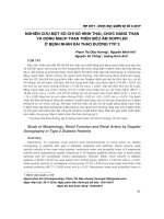 Nghiên cứu một số chỉ số hình thái, chức năng thận và động mạch thận trên siêu âm doppler ở bệnh nhân đái tháo đường týp 2