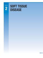 Ebook Cawson’s essentials of oral pathology and oral medicine (8/E): Part 2