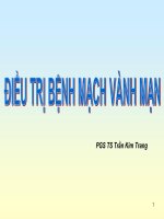 Bài giảng Điều trị bệnh mạch vành mạn - PGS. TS. Trần Kim Trang