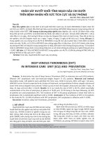 Khảo sát huyết khối tĩnh mạch sâu chi dưới trên bệnh nhân hồi sức tích cực và dự phòng