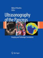 Ebook Ultrasonography of the pancreas (edition): Part 1