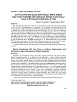 Gây tê tủy sống bằng Ropivacain đẳng trọng liều thấp phối hợp với fentanyl trong phẫu thuật thay khớp háng ở người cao tuổi