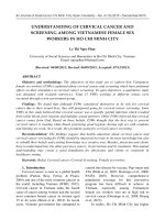 Understanding of cervical cancer and screening among Vietnamese female sex workers in Ho Chi Minh city