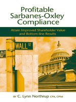 Profitable sarbanes oxley compliance 
