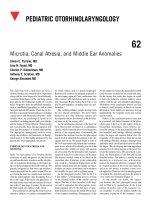 Ebook Ballenger’s otorhinolaryngology head and neck surgery (17/E): Part 2