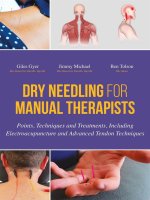 Ebook Dry needling for manual therapists: Part 1
