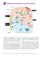 Ebook Immunology at a glance (10th edition): Part 2