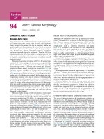 Ebook ASE''s Comprehensive echocardiography textbook (2nd edition): Part 2