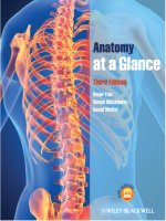 Ebook Anatomy at a glance (3rd edition): Part 1