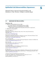 Ebook The Bethesda system for reporting cervical cytology (3rd edition): Part 2