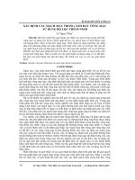 Xác định các mạch máu trong ảnh đáy võng mạc sử dụng bộ lọc thích nghi