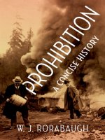 Prohibition a concise history 