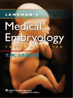 Ebook Langman’s medical embryology (12th edition): Part 1