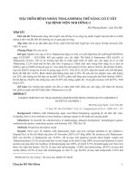 Đặc điểm bệnh nhân thalassemia thể nặng có ứ sắt tại Bệnh viện Nhi Đồng 1